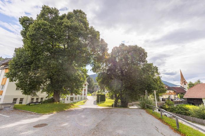 Linden bei St. Augustin