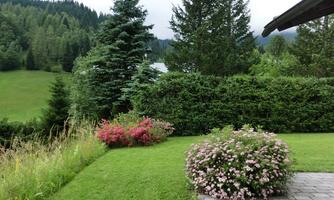 A beautiful garden with colorful flowers and green grass. In the background, there are tall trees and gentle hills.