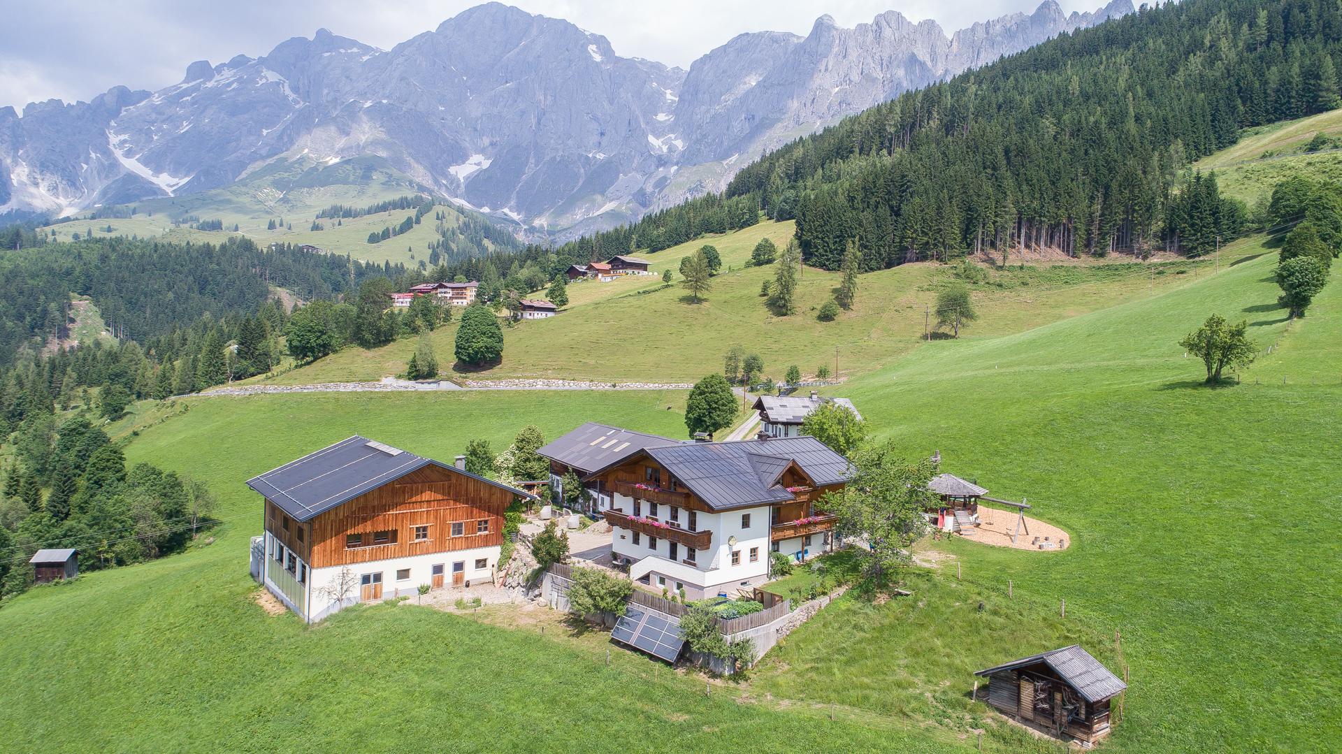 Formaugut