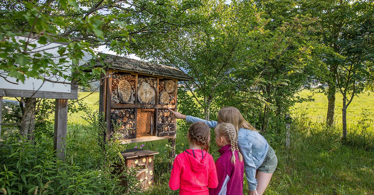 Führung durch den Bienenlehrpfad