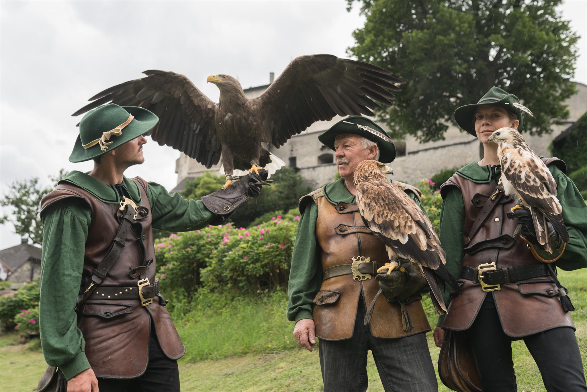 Greifvogelflugvorführungen 3xtäglich