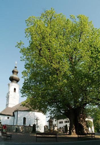 Pfarrkirche Faistenau