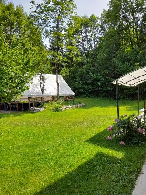Würzige Waldluft atmen ...