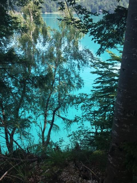 A quiet lake with clear, turquoise water, surrounded by trees. The scene radiates nature and peace.