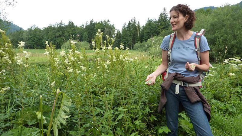 Wildkräuter Rundwanderung um den Hintersee