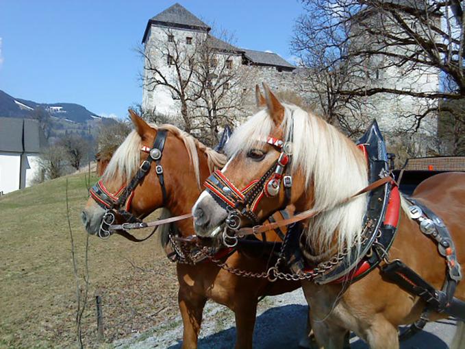 Pferdeschlitten & Kutschfahrten Hanslhof Kaprun