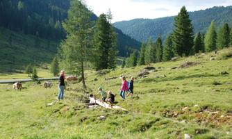 A beautiful meadow in the mountains with children playing and planting a tree. In the background, some cows and tall fir trees can be seen.