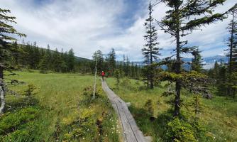 A wooden walking path leads through a green meadow with scattered trees. In the background, hills and a cloudy sky can be seen.