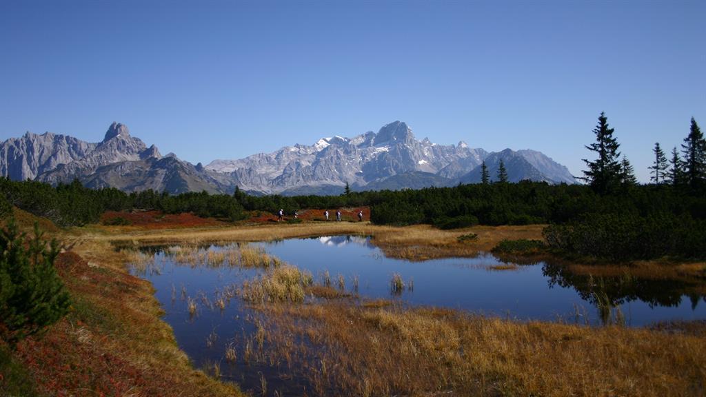 Geführte Wanderung auf den Gerzkopf