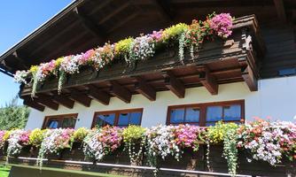 A traditional wooden house with a balcony abundantly decorated with colorful flowers. The sky is clear and the surroundings appear inviting.