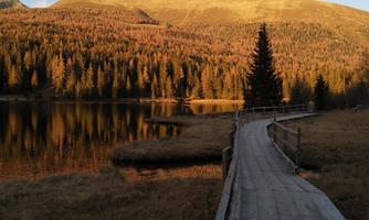 A beautiful wooden path leads along a tranquil lake, surrounded by golden autumn trees. In the background, gentle mountains and a clear sky can be seen.