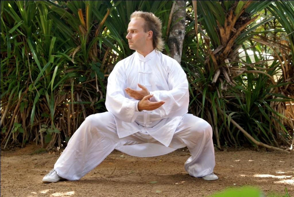 Taiji-Seminar und Meditationsabend „Laojia meets Xinjia“ mit Jan Silberstorff