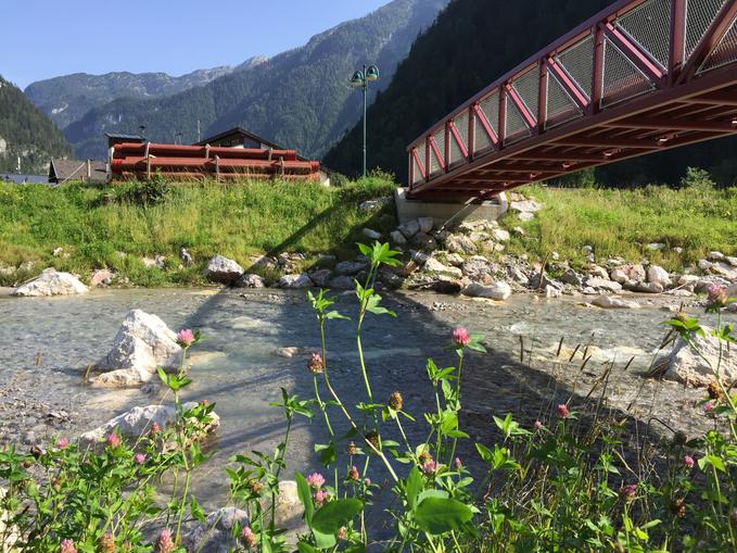 Wildes Baden Neuer Bach