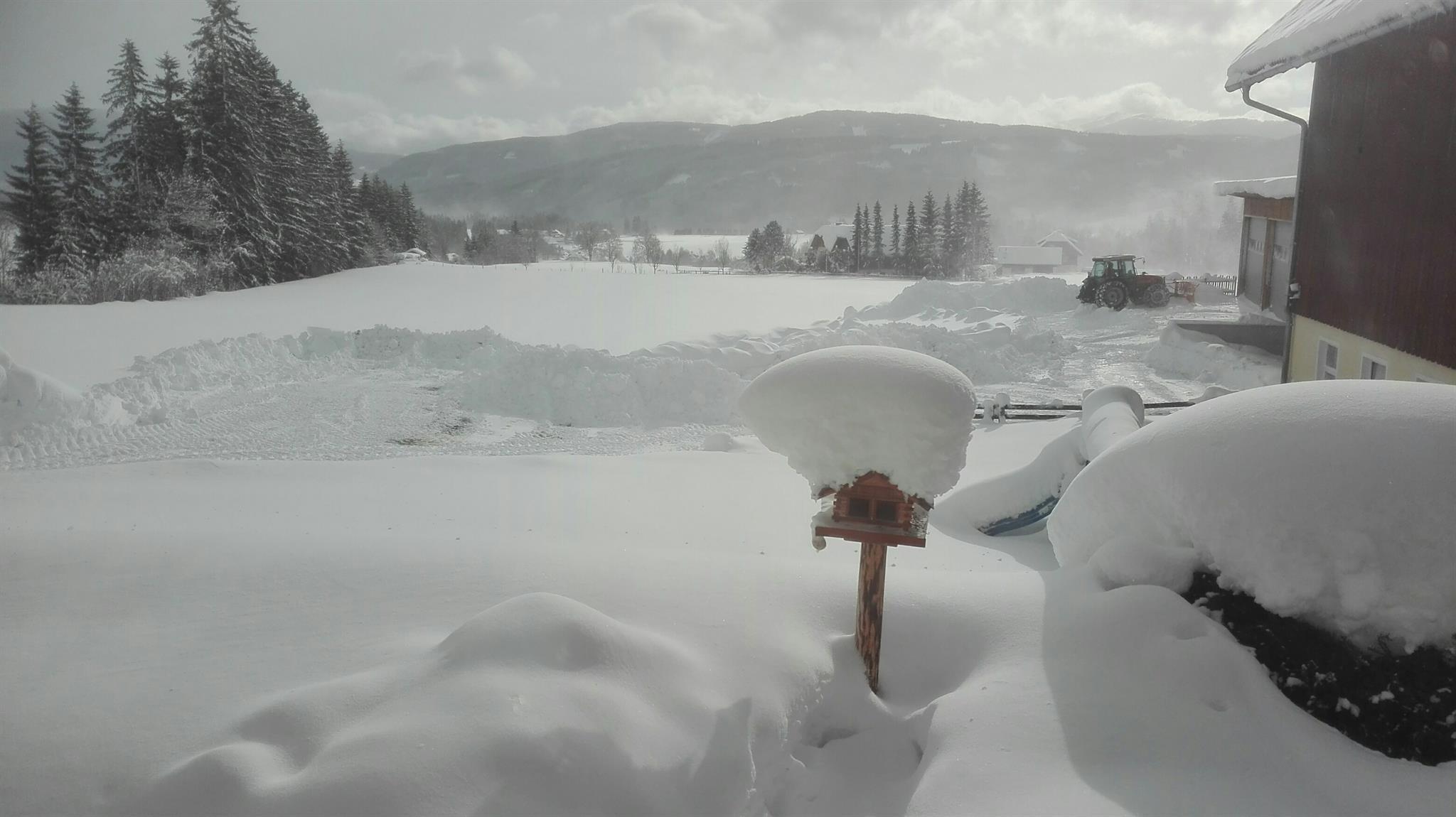 A snowy landscape with high snow drifts and trees in the background. In the foreground, there is a snow pile next to a mailbox.