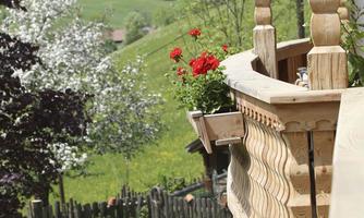 A wooden balcony with red geranium flowers and a view of a green landscape. In the background, the trees are blooming and the sky is clear.