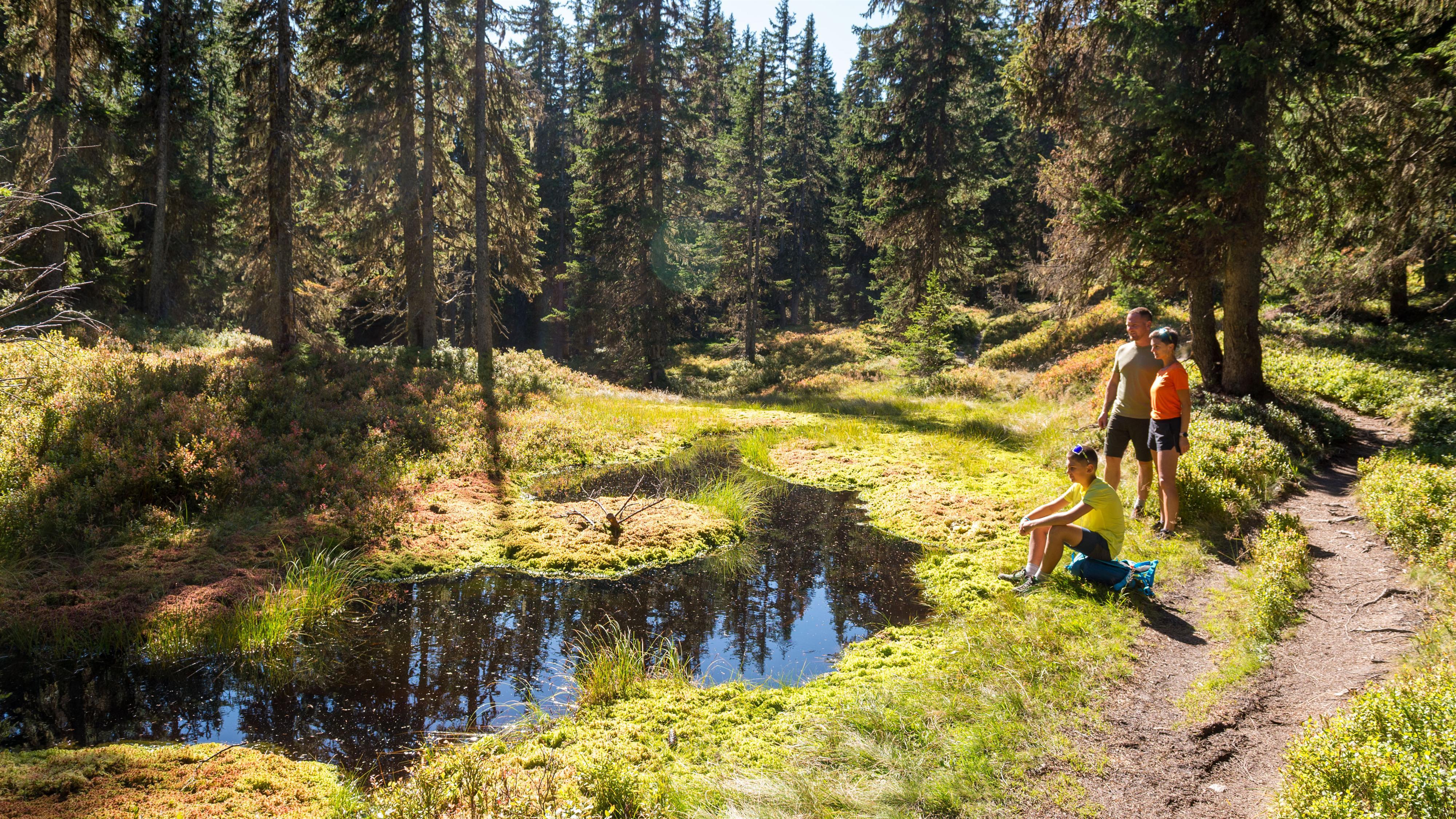 Wandertag