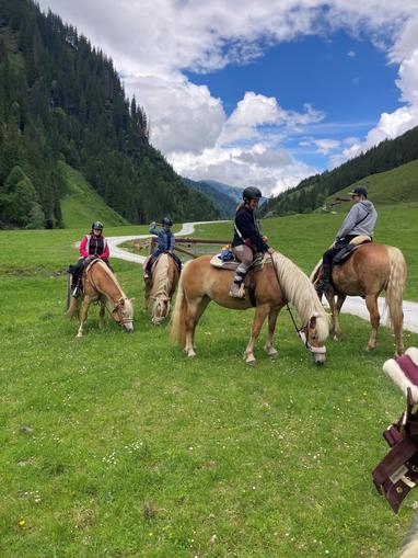 Wanderreiten - Claudia Mantesso
