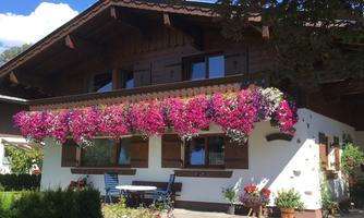 A charming house with a wooden roof and blooming plants in front of the windows. The garden is well-maintained and inviting.