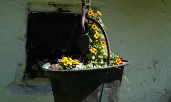 A blooming flower pot hangs from an old crane. It is filled with colorful flowers and placed in front of a white wall.
