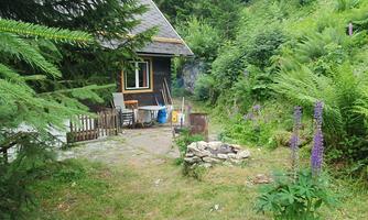 A small, cozy cottage surrounded by lush greenery and plants. In the foreground, there is a paved area with a campfire spot.