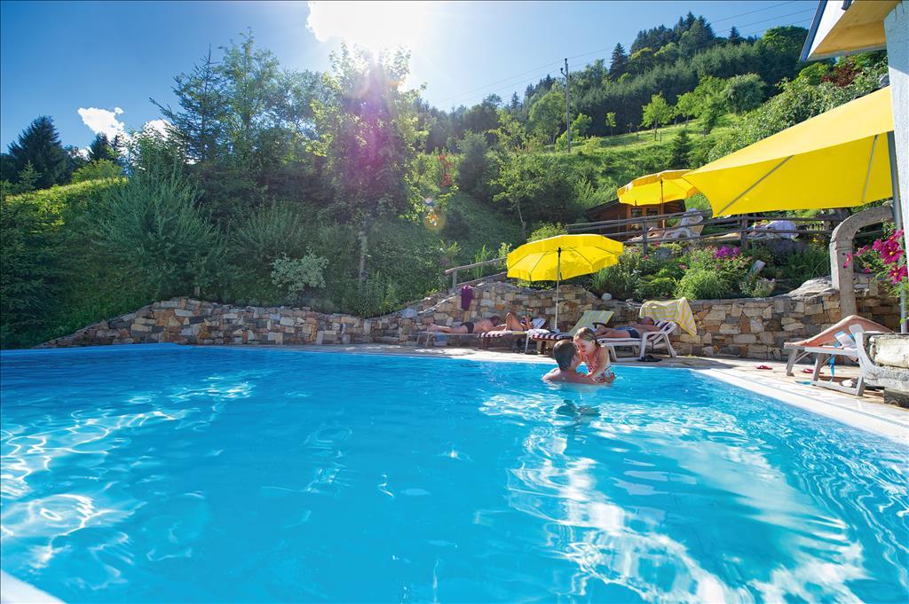 A beautiful pool surrounded by trees and colorful umbrellas. The sun is shining, creating a relaxed atmosphere.