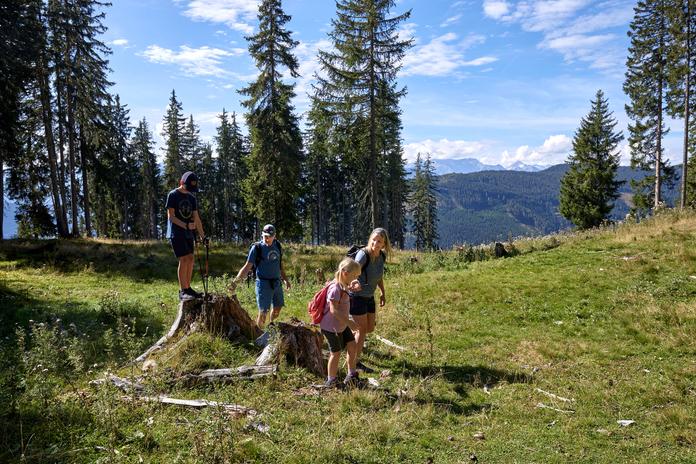 Wandern in Taxenbach