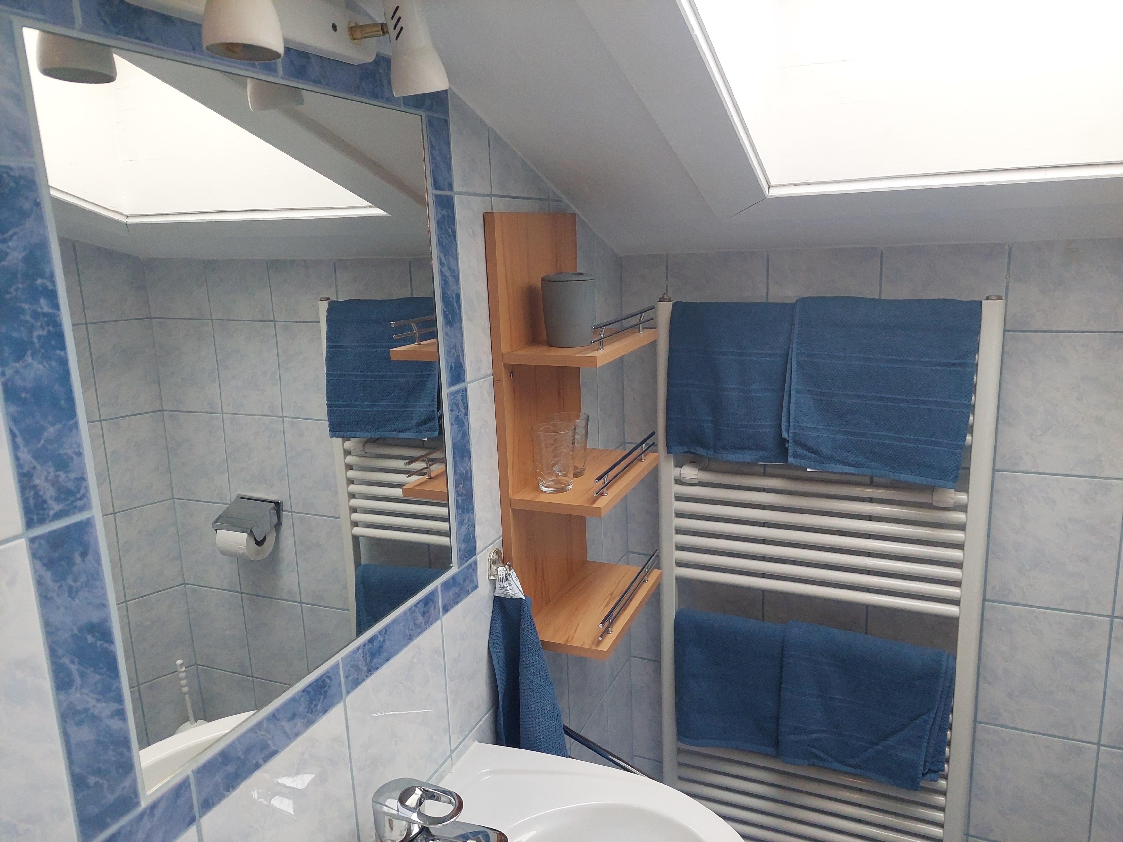 Haus Holzer Dorfgastein App Bad