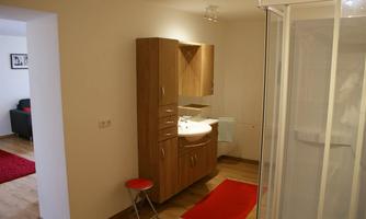 A modern bathroom with a wooden cabinet, sink, and a shower. The floor is made of wood and a red rug lies on the ground.