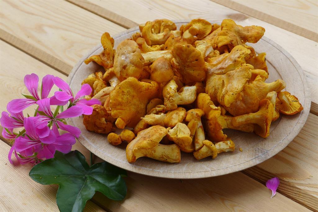 A bowl of fresh chanterelles is sitting on a wooden table. Next to the bowl, some colorful flowers can be seen.