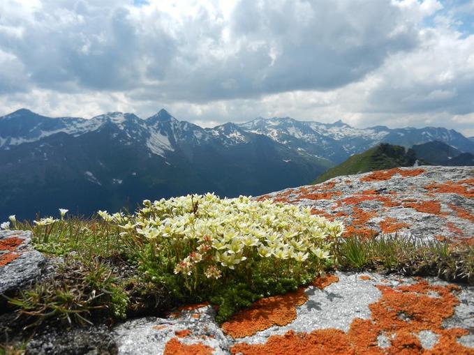 Wanderung ins Naturschutzgebiet Gontal