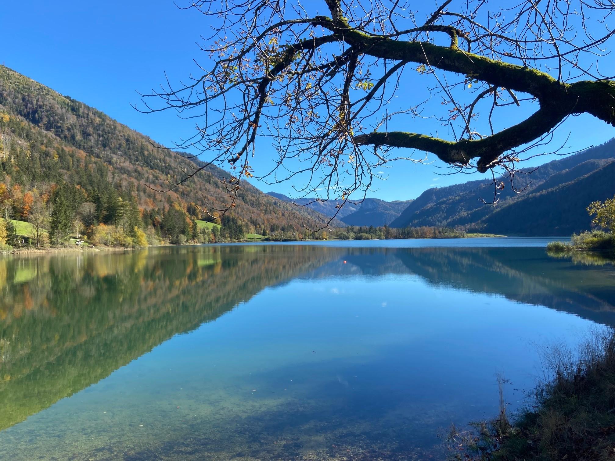 Gemeinsam für einen sauberen Hintersee
