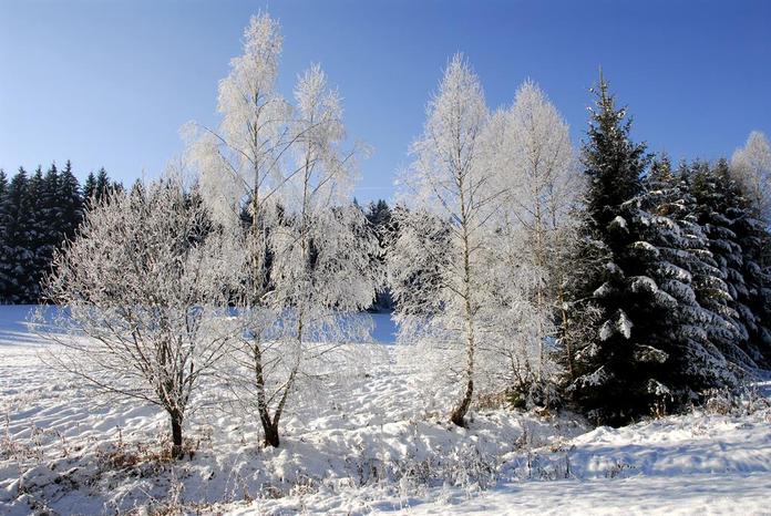 Filzloipe