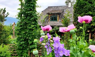 A cozy house in the greenery, surrounded by colorful flowers. In the background, trees and hills are visible.
