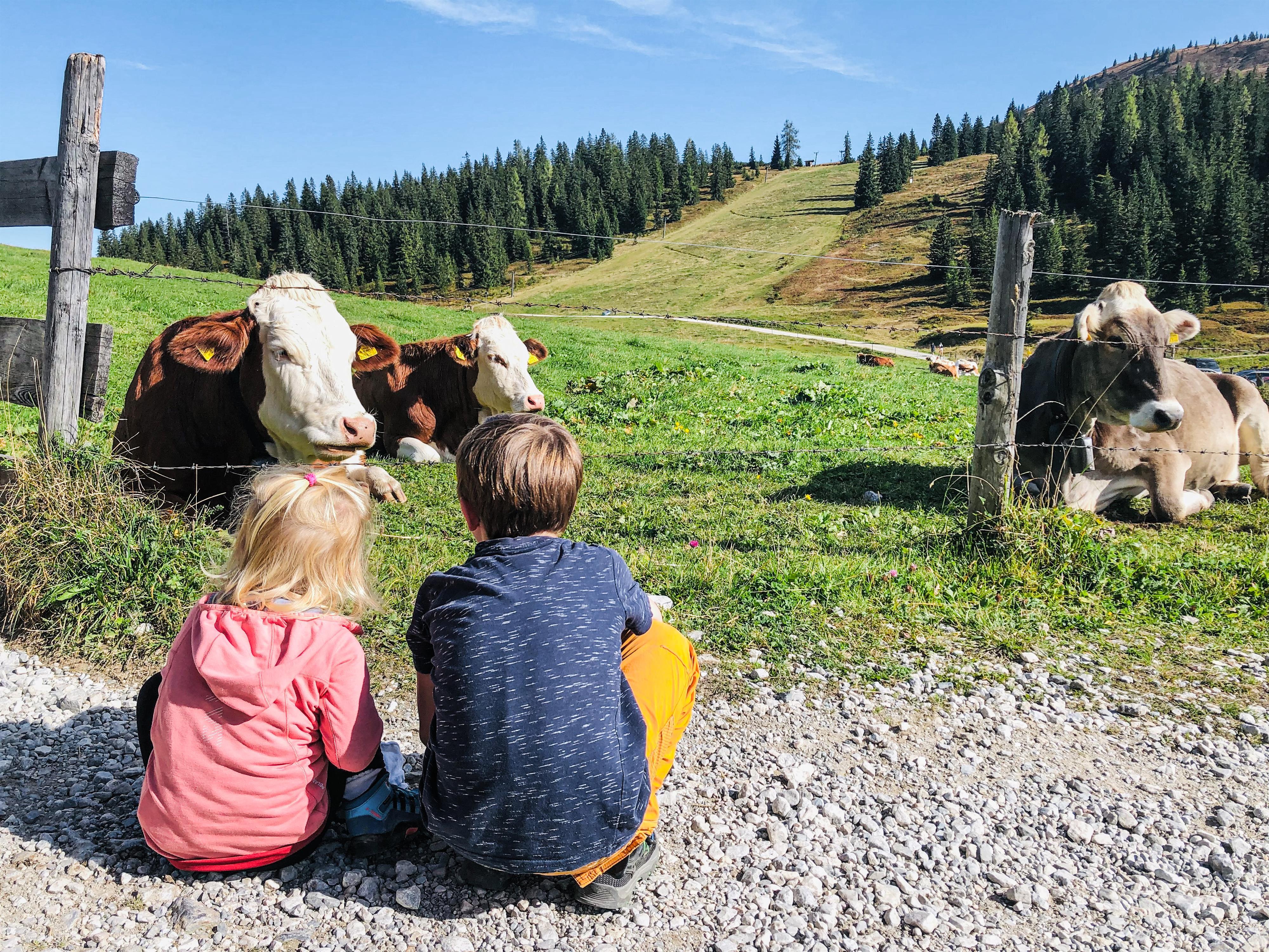 Two children are sitting on a gravel path and observing cows in a meadow. In the background, gentle hills and trees can be seen.