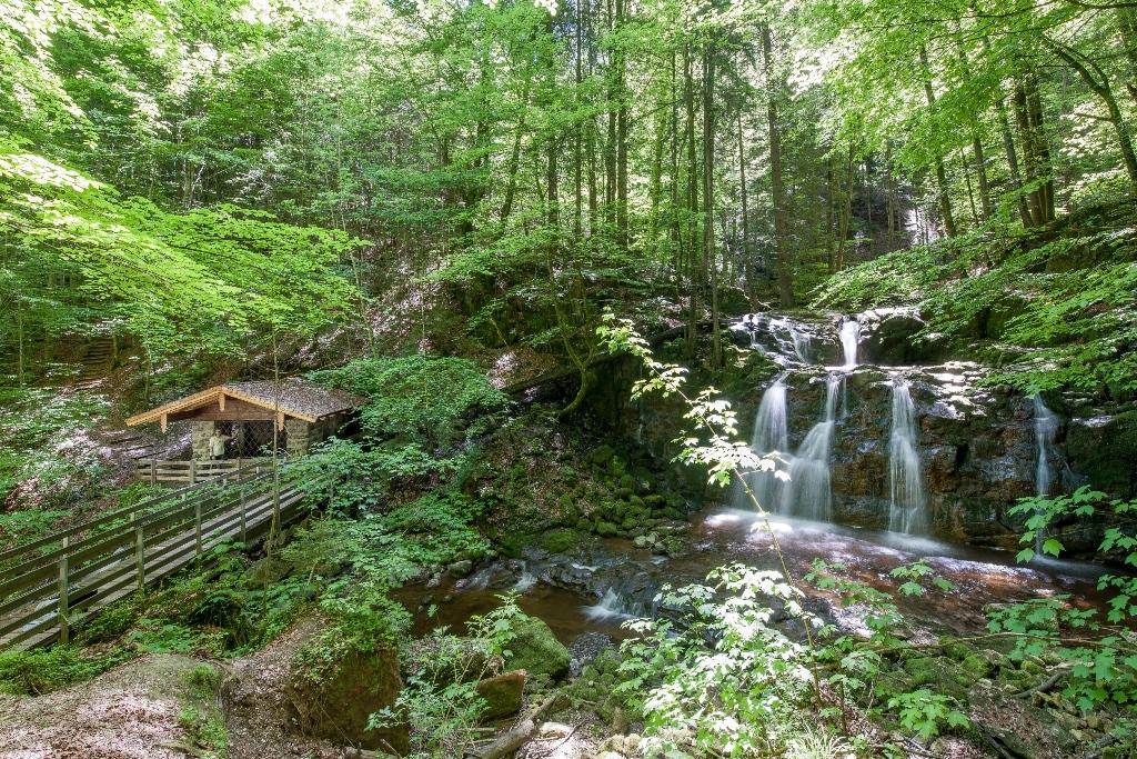 Wildkargraben-Trip. Geführte Wanderung