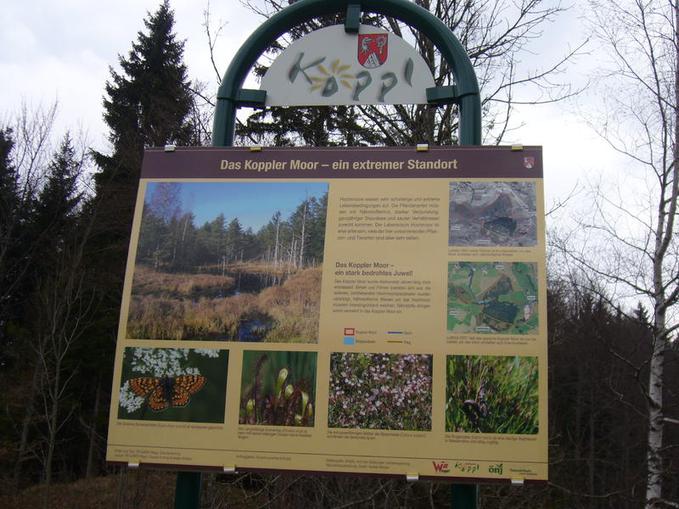 Koppler Moor