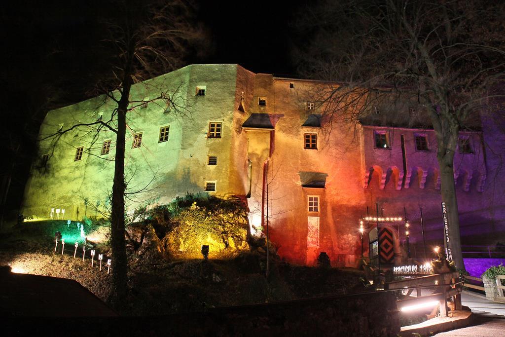 An old castle at night, illuminated in various colors. Surrounded by trees and a clear sky.