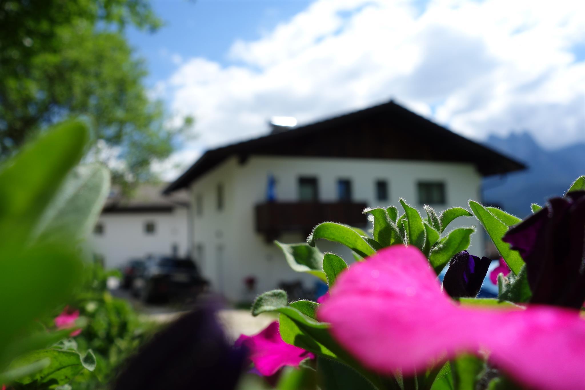 A beautiful house surrounded by colorful flowers. In the background, there are mountains and the sky with some clouds visible.