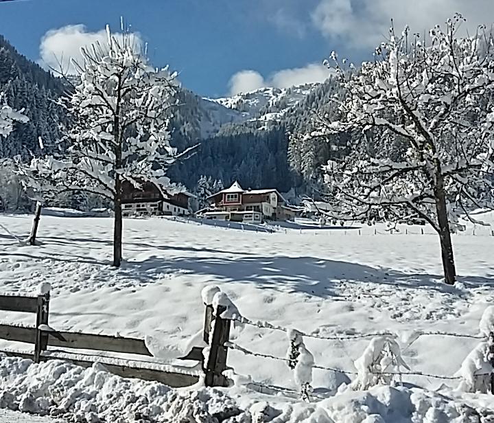 A winter landscape with snow-covered trees and a clear blue sky. In the background, hills and traditional houses can be seen.