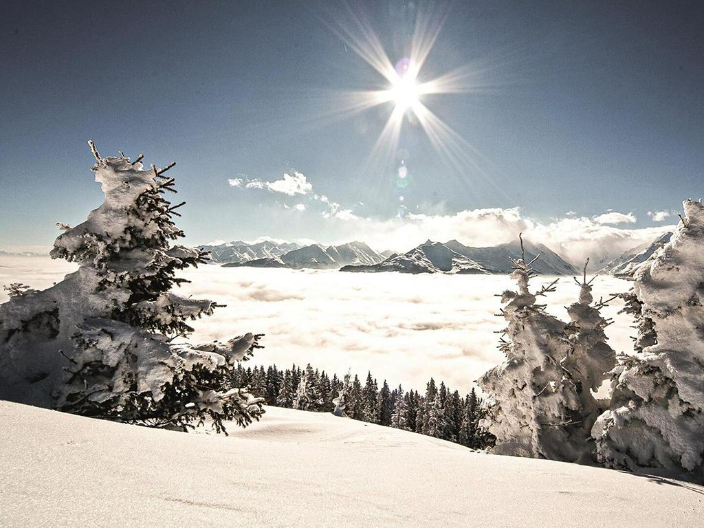 Wasenmoos – Ausblicke Hohe Tauern
