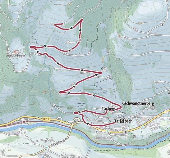 Mountainbikestrecke Holzlehen am Taxberg
