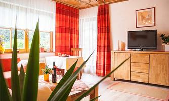 A cozy living room with red curtains and a large window front. The room is decorated with wooden furniture and plants, a television is placed on a cabinet.
