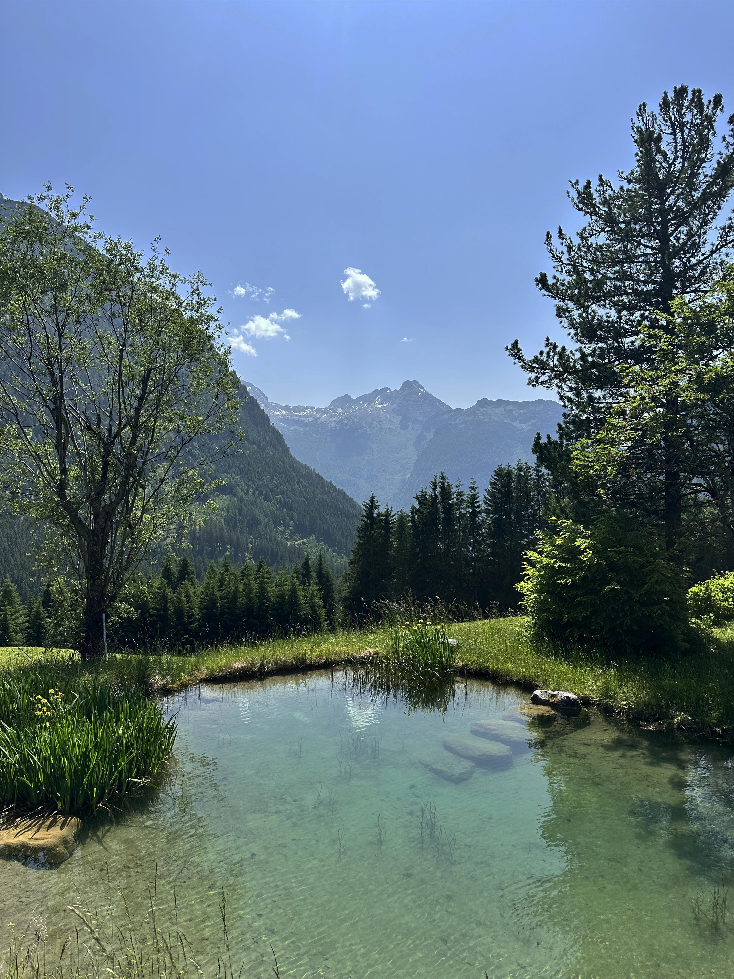 A clear pond surrounded by green meadows and trees. In the background, impressive mountains and a blue sky can be seen.