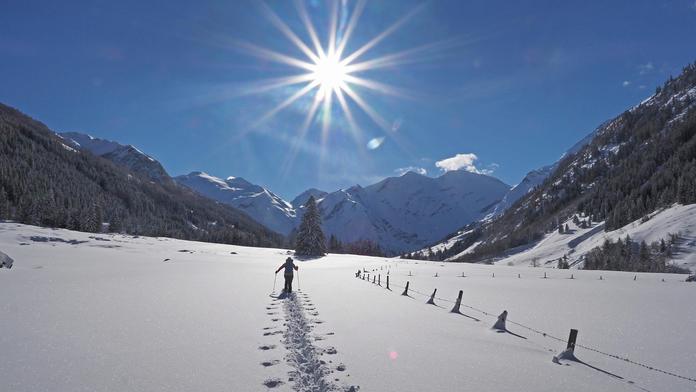 Winterwandern & Schneeschuhwandern