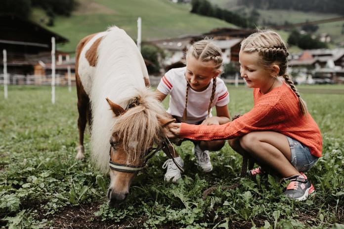 Reiten beim Hotel Auhof