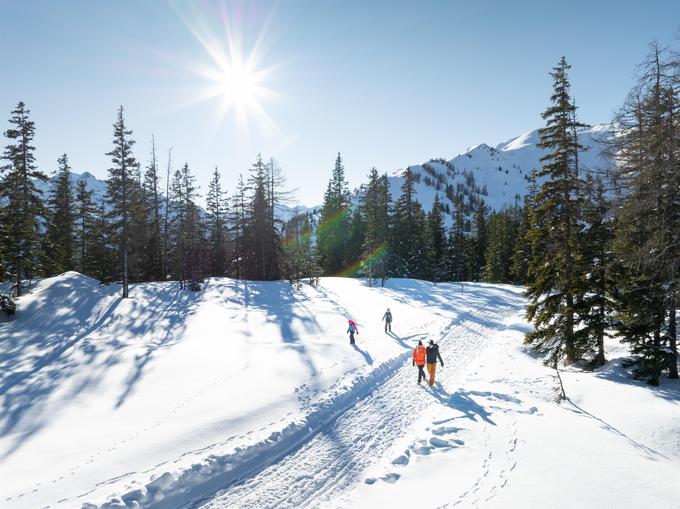 Winterwanderweg Nr. 66 - Hochalm