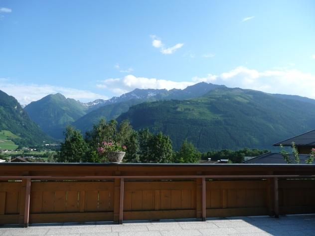 Blick von der Terrasse - Sommer
