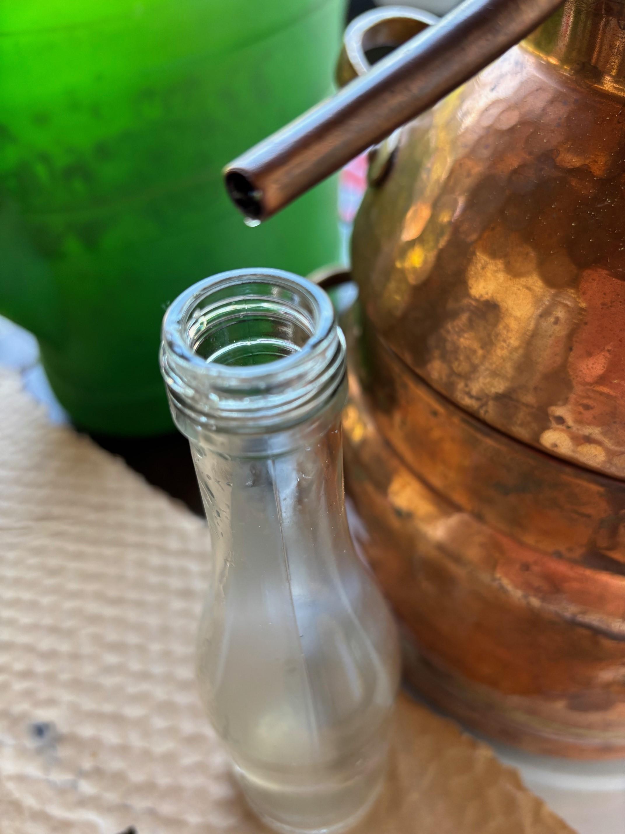 Pflanzen Hydrolat Herstellung