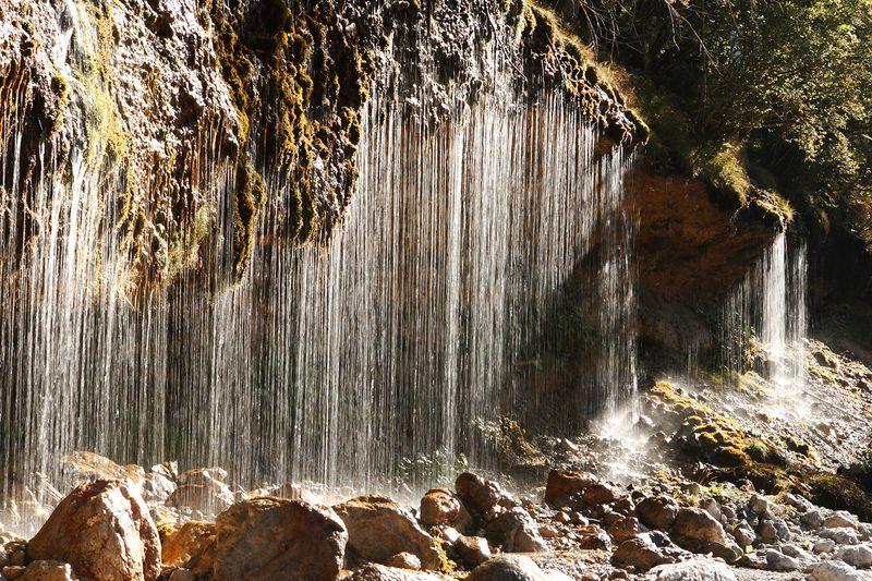 Kinderprogramm – Wald, Wasser, wilde Tiere