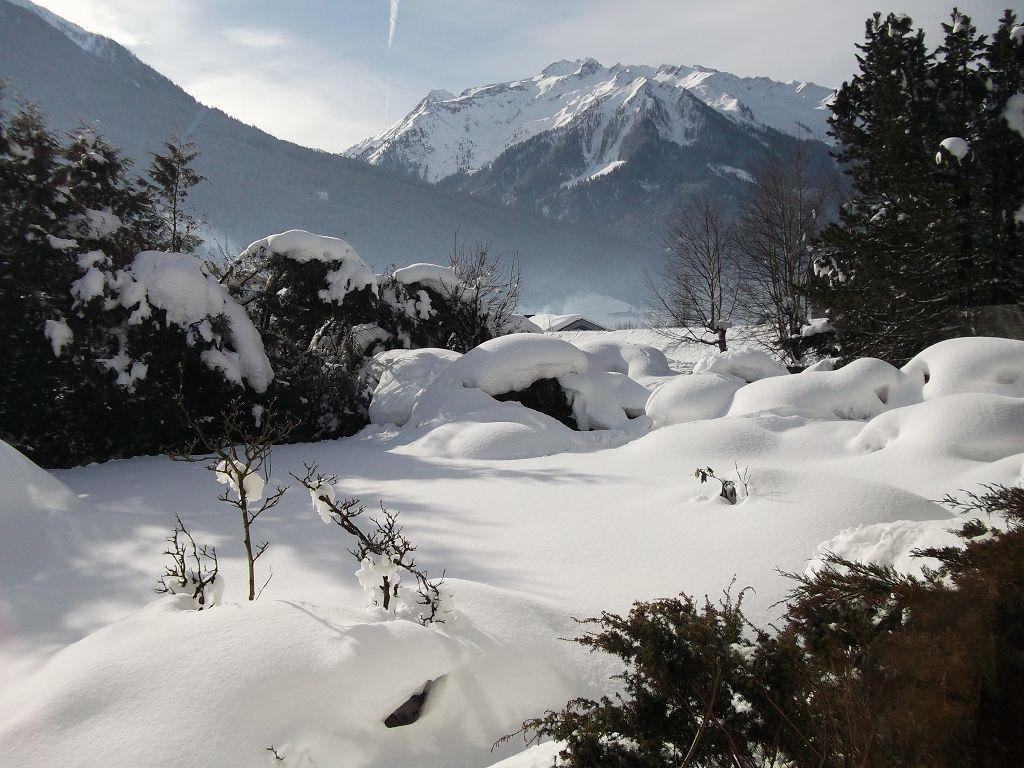A winter landscape with high mountains in the background. The ground is covered with thick, white snow.